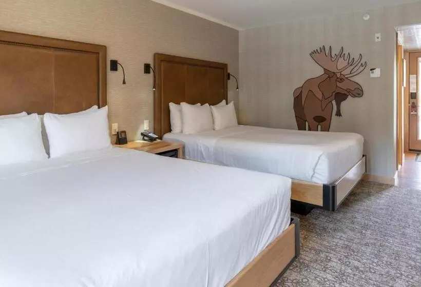 スーペリアールーム, Moose Hotel And Suites
