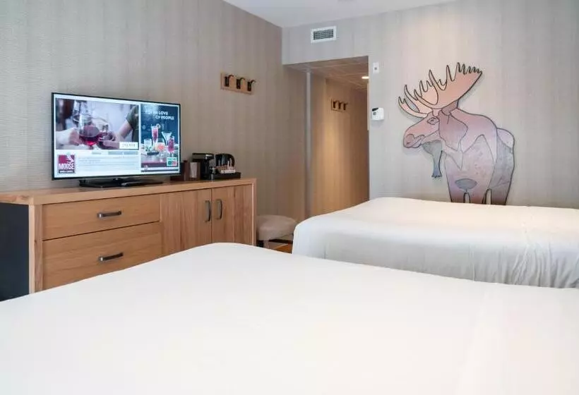 スーペリアールーム, Moose Hotel And Suites