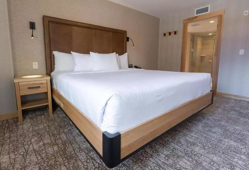キングサイズベッドのスイートルーム, Moose Hotel And Suites
