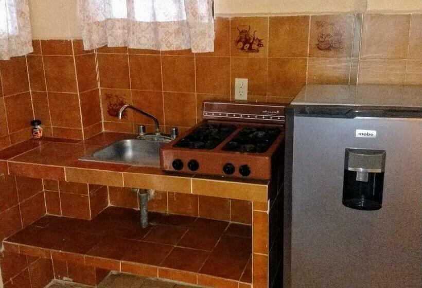 Номер Стандарт, Terramar