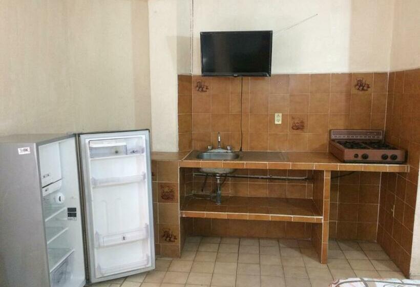 Номер Стандарт, Terramar