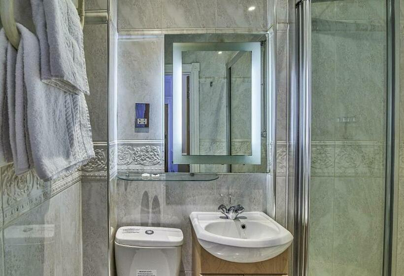 غرفة قياسية, Hyde Park Radnor Hotel B&b