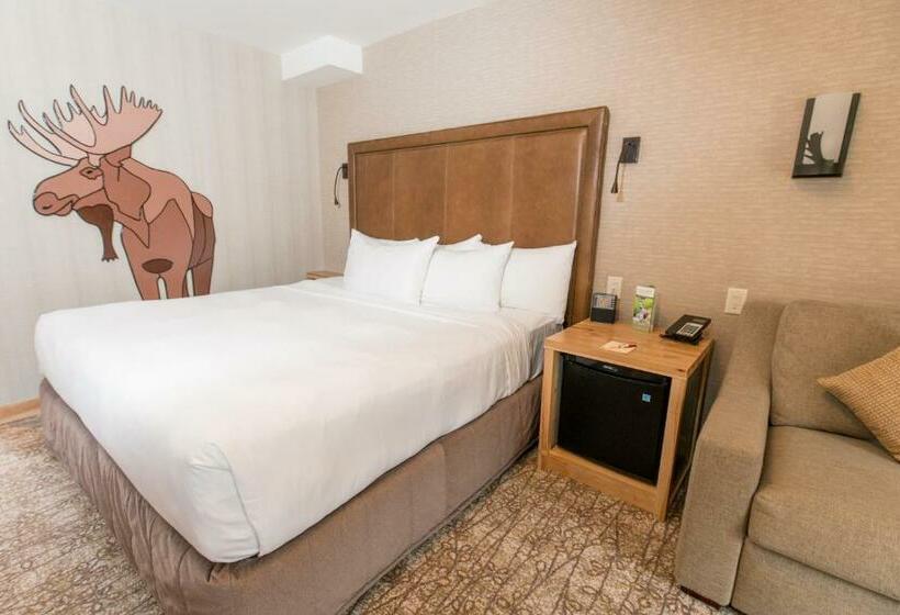 带大床的高级房间, Moose Hotel And Suites