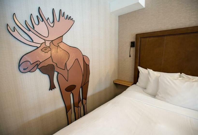 חדר סופריור עם מיטת קינג, Moose Hotel And Suites