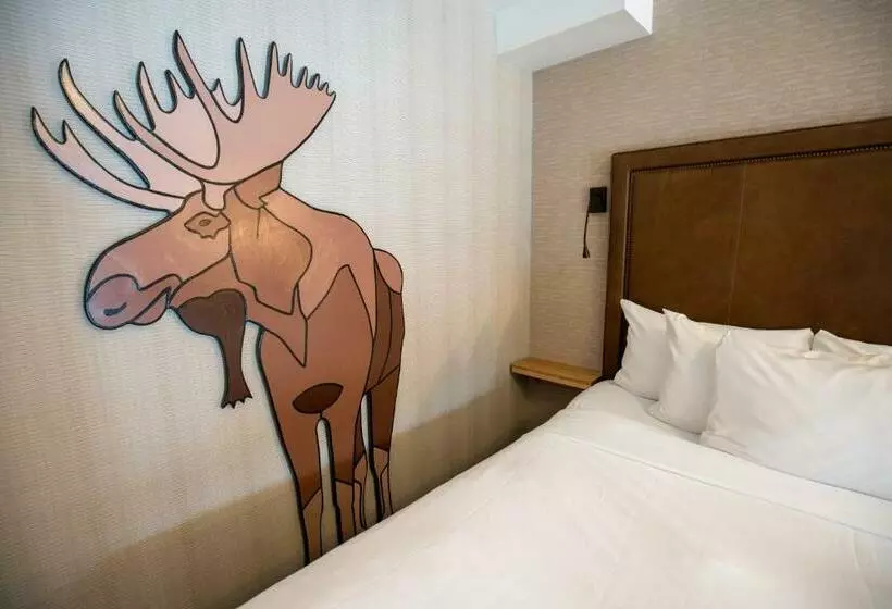 キングサイズベッドのスーペリアルーム, Moose Hotel And Suites