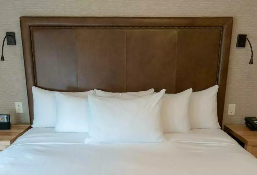 キングサイズベッドのスイートルーム, Moose Hotel And Suites