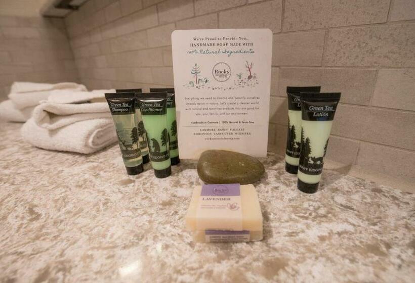 חדר סופריור עם מיטת קינג, Moose Hotel And Suites