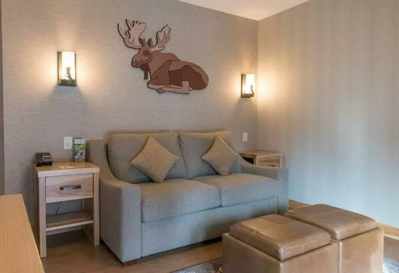 キングサイズベッドのスイートルーム, Moose Hotel And Suites