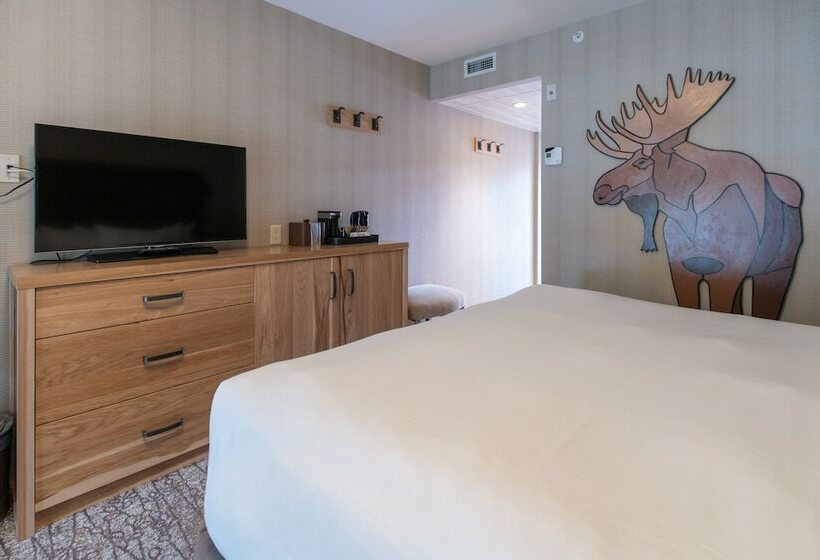 디럭스 룸 킹사이즈 침대, Moose Hotel And Suites