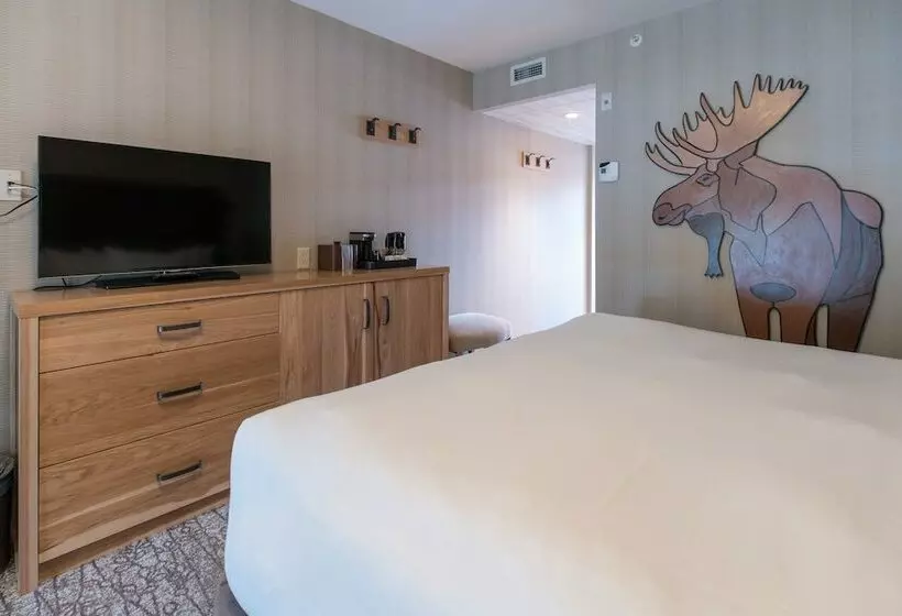 キングサイズベッドのスーペリアルーム, Moose Hotel And Suites