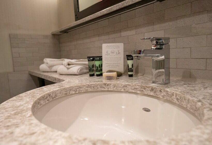 חדר סופריור עם מיטת קינג, Moose Hotel And Suites