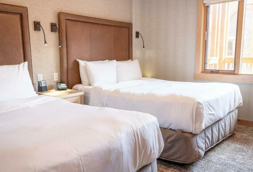 스위트, Moose Hotel And Suites