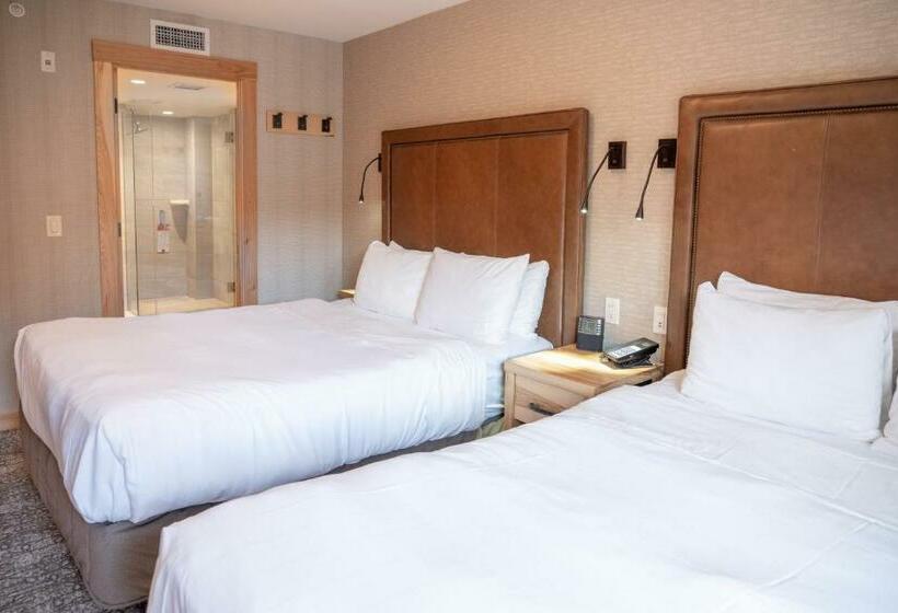 סוויטה, Moose Hotel And Suites