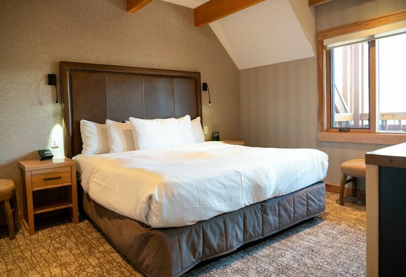 סוויטת 2 חדרי שינה, Moose Hotel And Suites