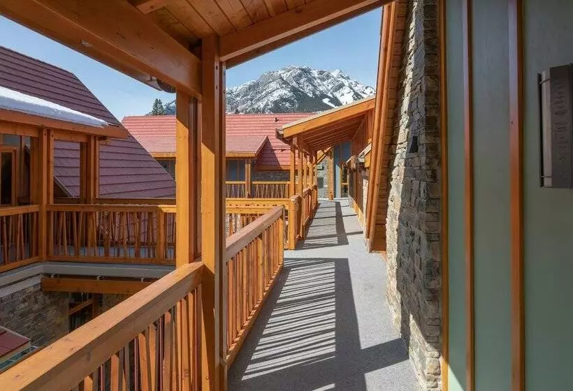 スイート, Moose Hotel And Suites