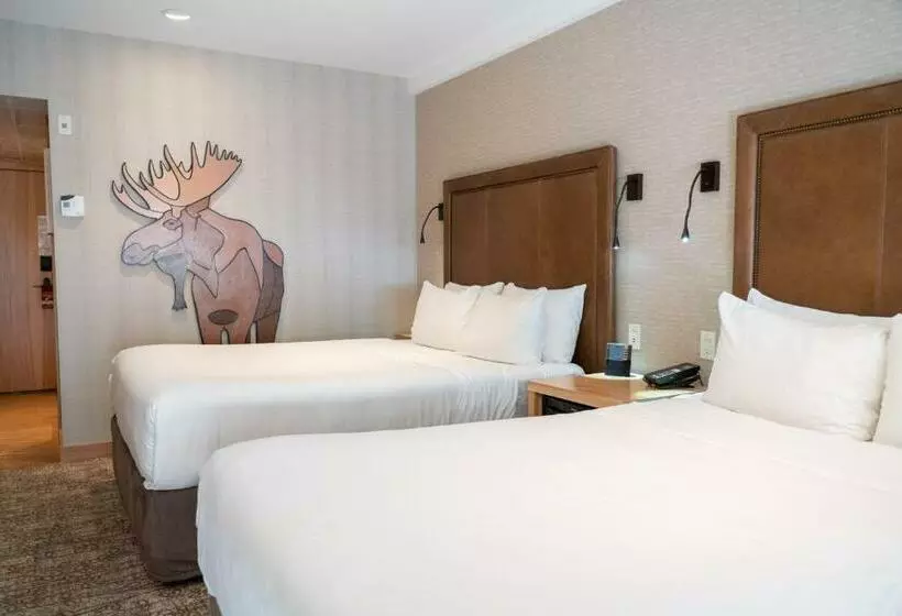 スーペリアールーム, Moose Hotel And Suites