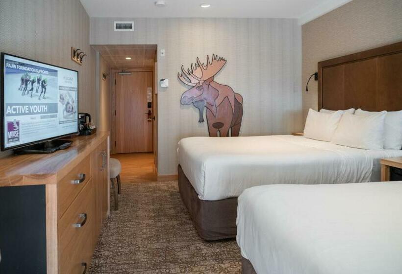 חדר סופריור, Moose Hotel And Suites