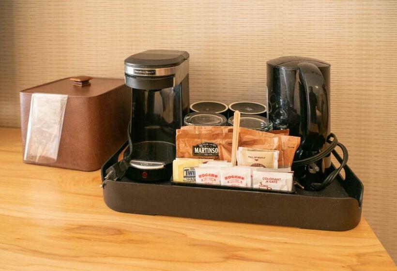 חדר סופריור, Moose Hotel And Suites