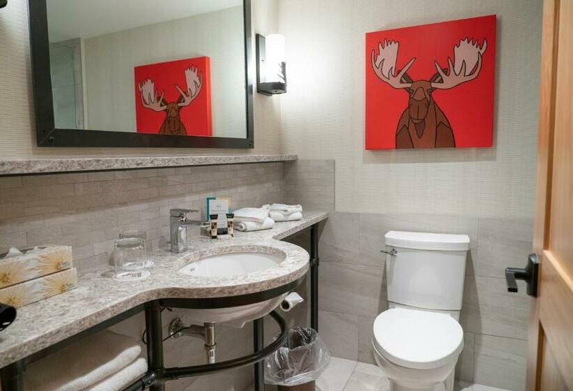 高级大房间, Moose Hotel And Suites