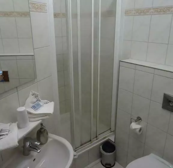 اتاق استاندارد یک نفره, Cityhotel Magdeburg
