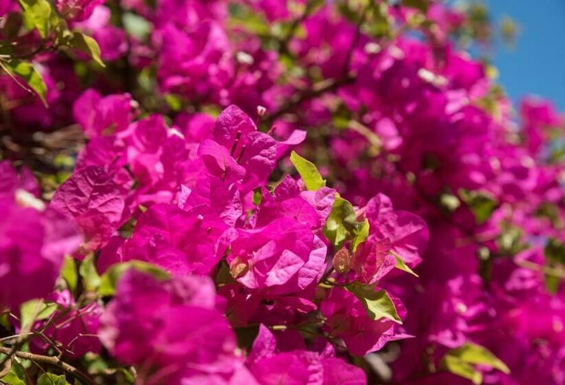 חדר משפחתי, Jurien Bay Hotel Motel