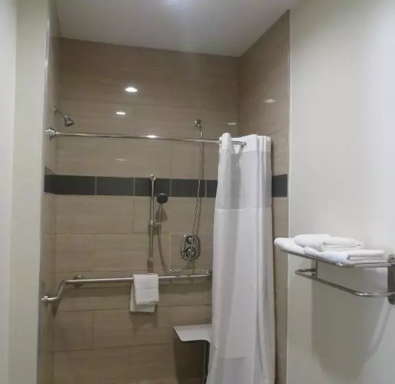 キングサイズベッドのスタンダードルーム, Scottish Inns & Suites Spring   Houston North