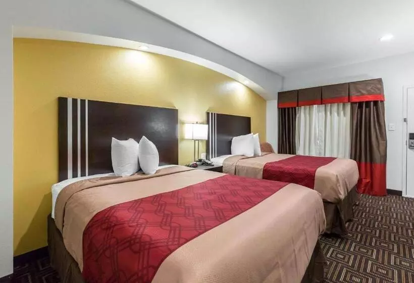 スタンダードルーム, Scottish Inns & Suites Spring   Houston North