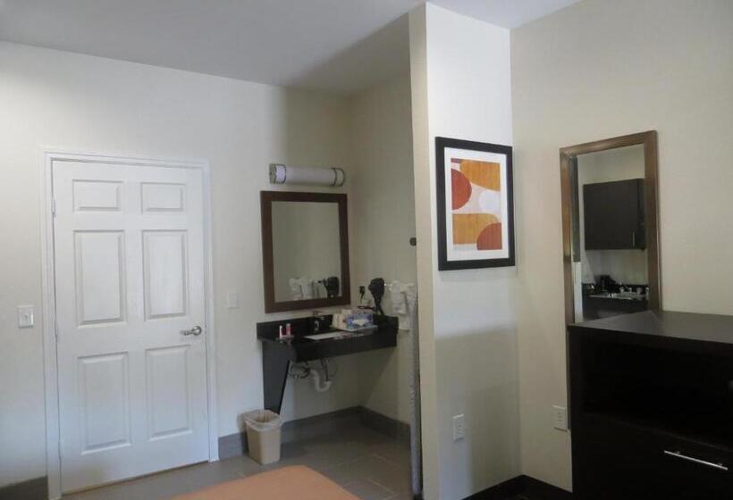 Büyük Çift Kişilik Yataklı Standart Oda, Scottish Inns & Suites Spring   Houston North