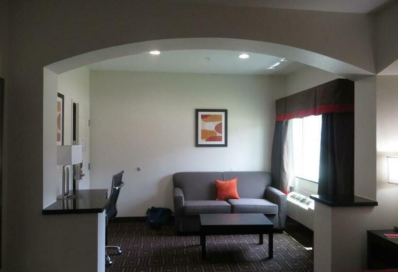 Büyük Çift Kişilik Yataklı Standart Oda, Scottish Inns & Suites Spring   Houston North