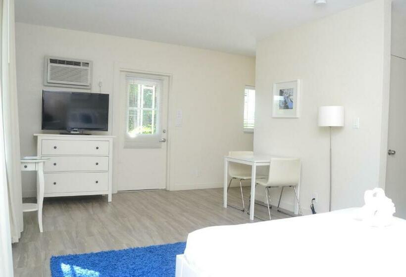 סטודיו דלוקס, Tara