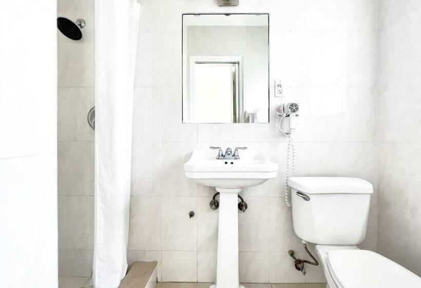 חדר סטודיו סטנדרד, Tara