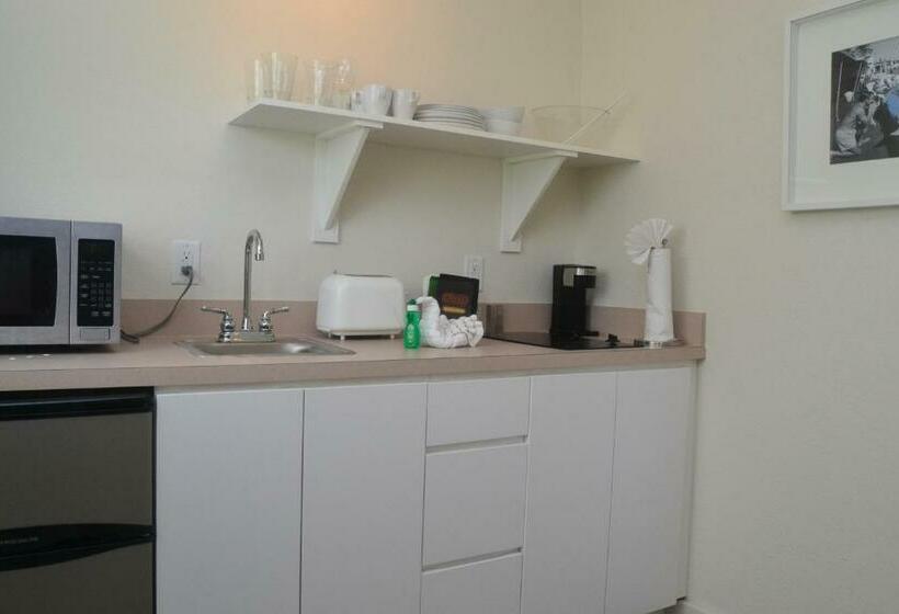 סטודיו דלוקס, Tara