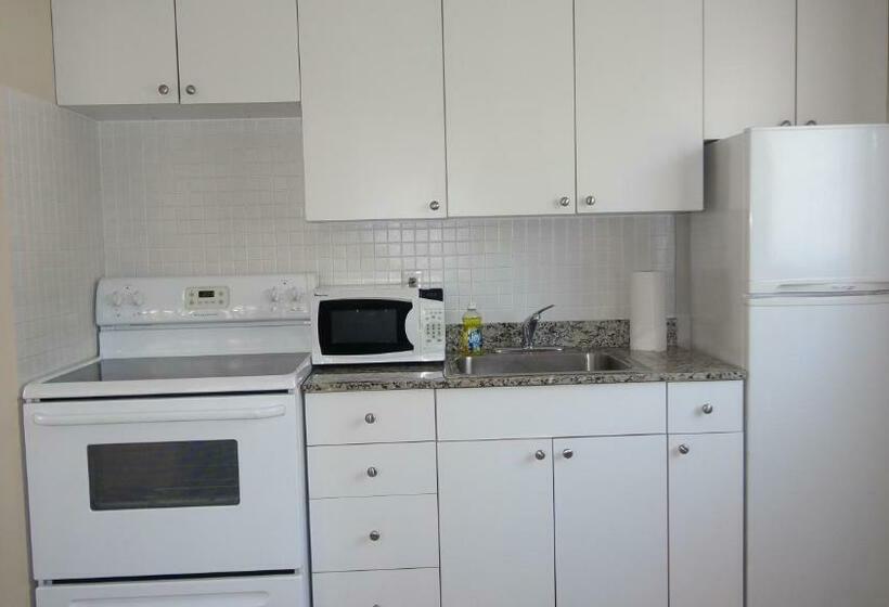 סטודיו דלוקס, Tara