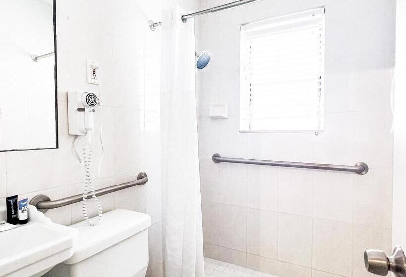 חדר סטודיו סטנדרד, Tara