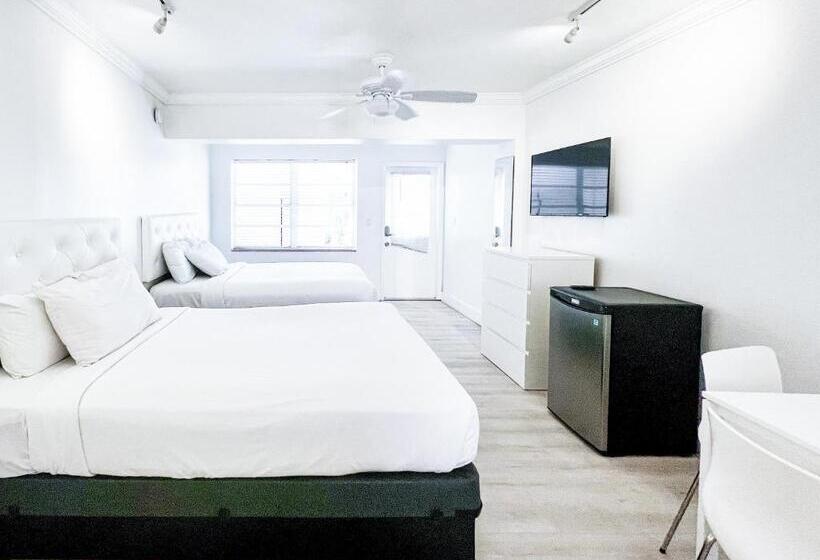 חדר סטודיו סטנדרד, Tara