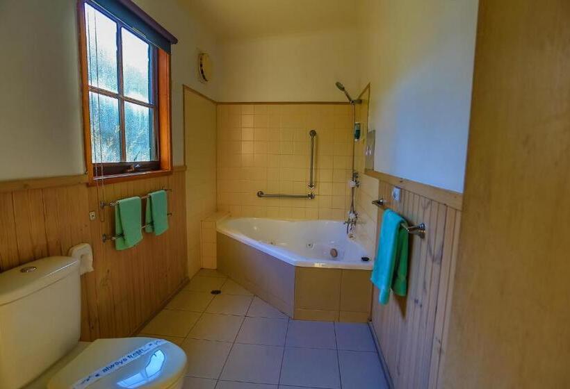 Апартаменты 1 Спальня, Mountain View Motor Inn & Holiday Lodges