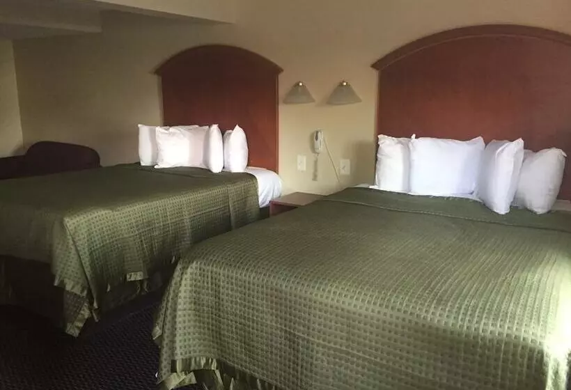 ２ダブルベッドのスタンダードルーム, Royal Inn