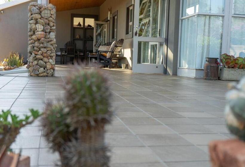 غرفة ديلوكس, Aloe Manor