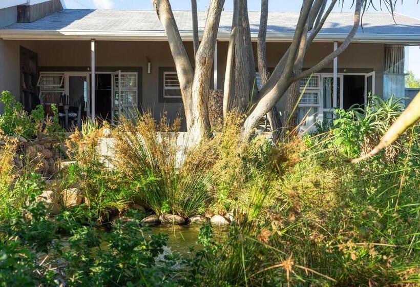 غرفة ديلوكس, Aloe Manor