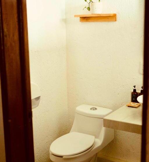 חדר סטנדרט, Mezcal