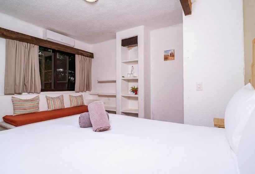 חדר סטנדרט, Mezcal