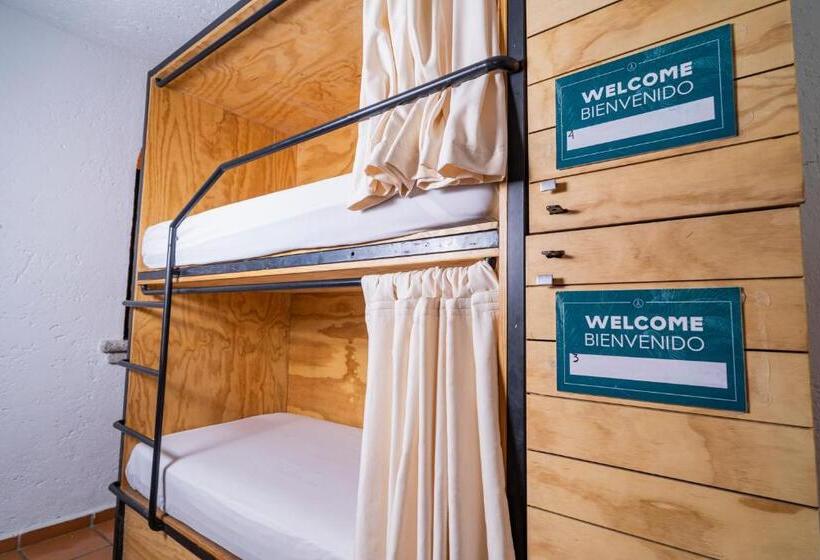 מיטה בחדר משותף, Mezcal