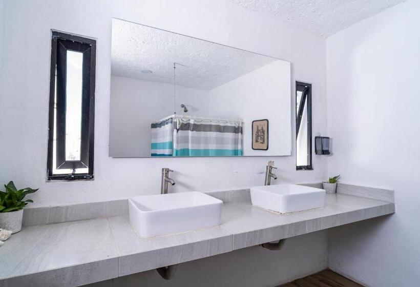 מיטה בחדר משותף, Mezcal