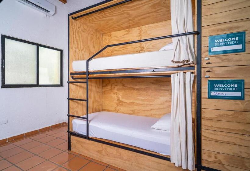 מיטה בחדר משותף, Mezcal