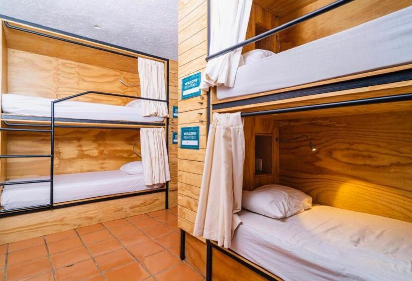 מיטה בחדר משותף, Mezcal