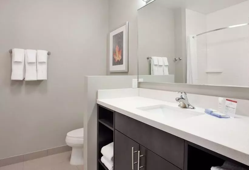 スイート, Candlewood Suites Grand Island, An Ihg