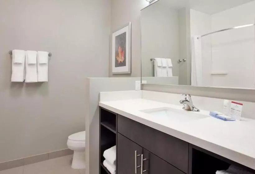 キングサイズベッドのスタンダードルーム, Candlewood Suites Grand Island, An Ihg