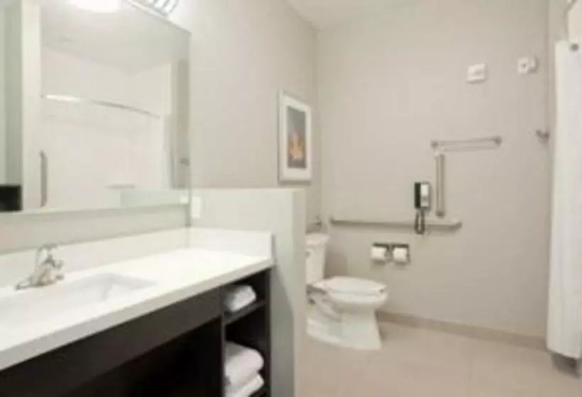 スタンダードスタジオ, Candlewood Suites Grand Island, An Ihg