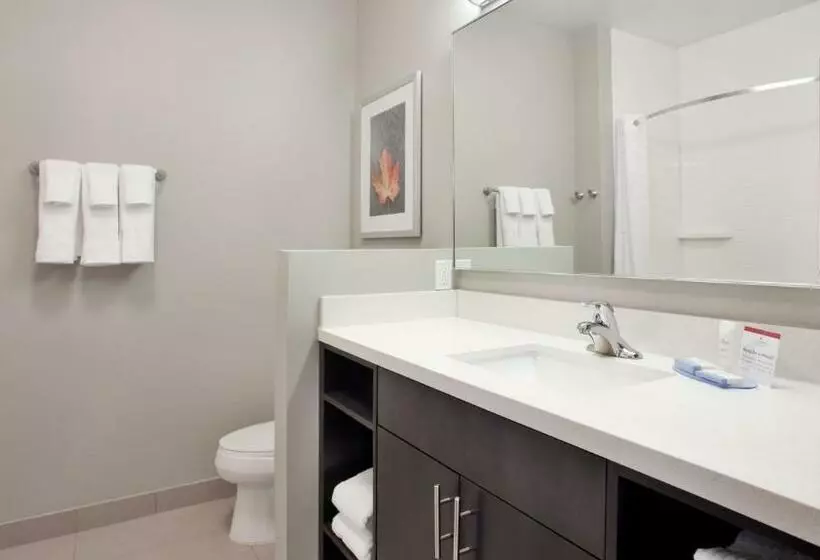 スタンダードスタジオ, Candlewood Suites Grand Island, An Ihg