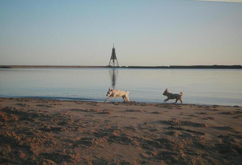 스탠다드 룸, Deichvoigt